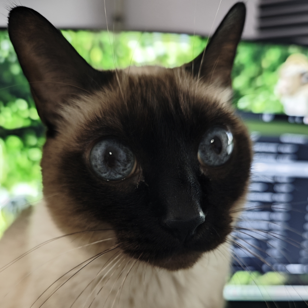 Avatar of Carlos