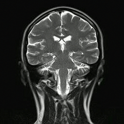 conraid.bsky.social@bsky.brid.gy