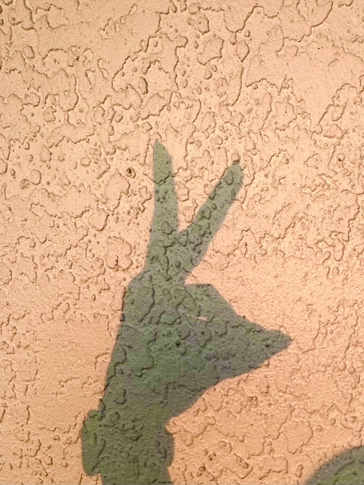 I made a shadow bunny with my left hand while waiting for the sun rise. I’ve messed with the color a bit to pull out the green more against textured peach wall