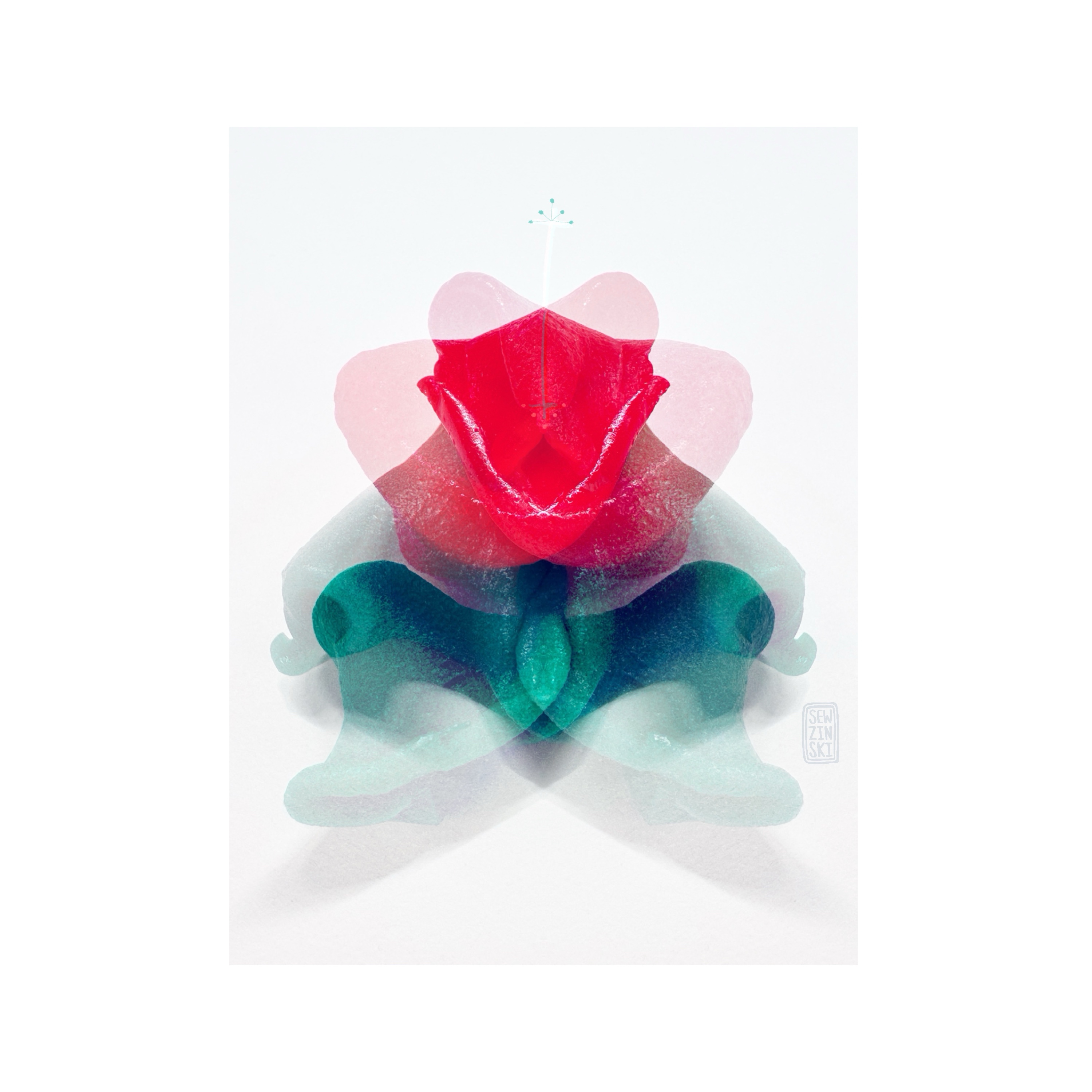 A mixed media collage created by me using candy, photos, iPad, looks like a rose with some distinguishing scribbles in the middle but the rose moves a bit depending on how you look at it. By Sewzinski Sarah Constantino red, green off white