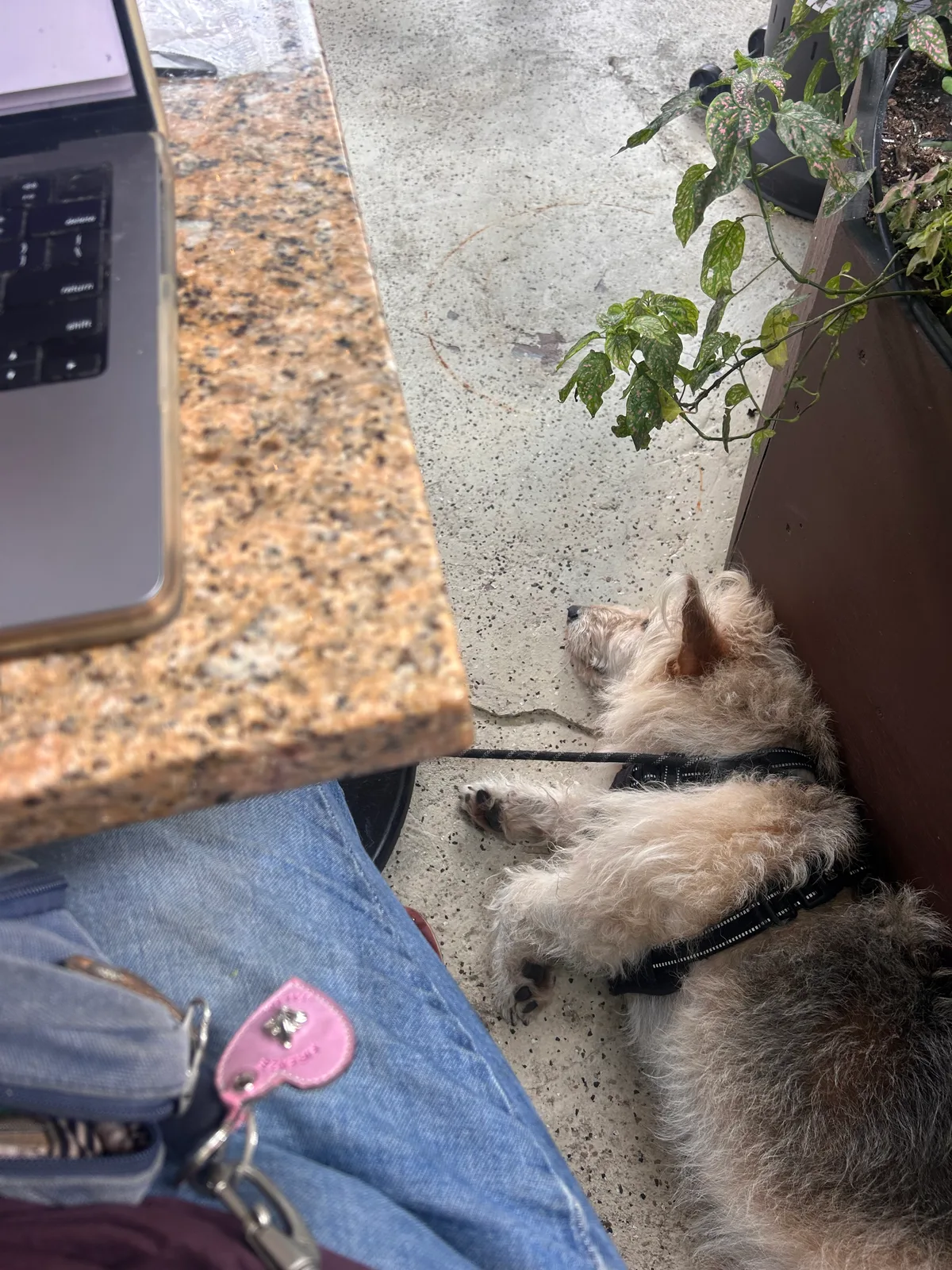 Harry: coworking on the far side of LA. (it’s hot out there!)